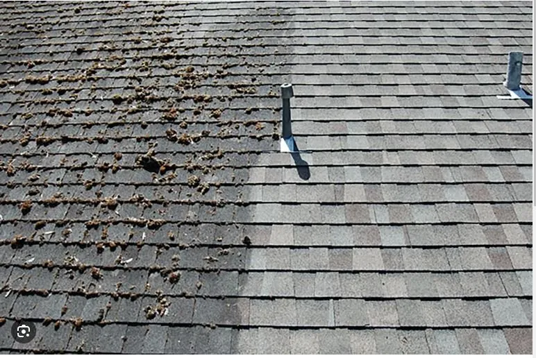 Slide of South Coast Shingle Savers