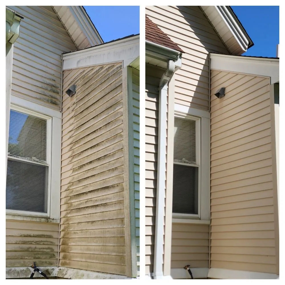 Slide of South Coast Shingle Savers