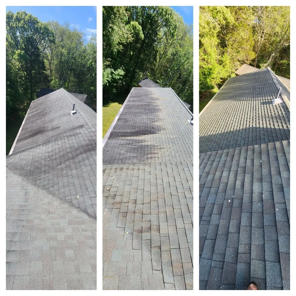 Slide of South Coast Shingle Savers