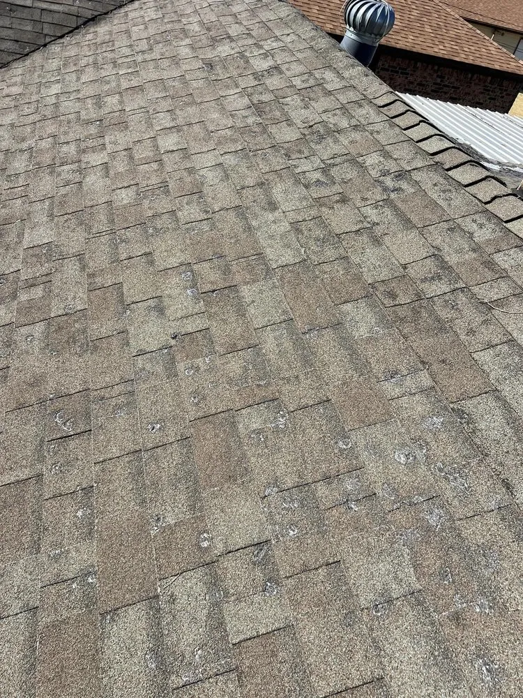 Slide of South Lake Builders