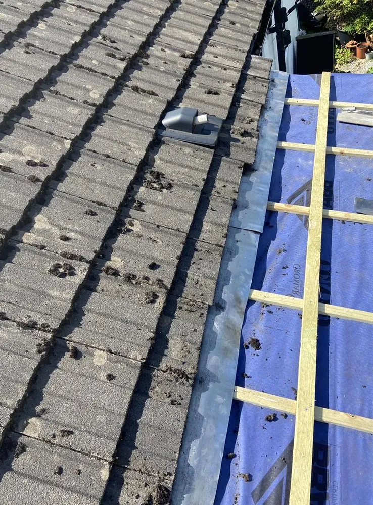 Slide of South Tampa Roofing