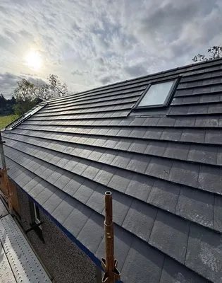 South Tampa Roofing Logo