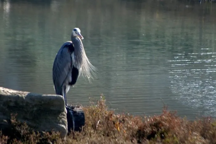 Slide of South Valley Roofing
