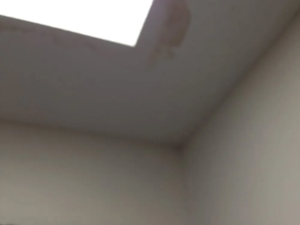 Slide of Southeastern Homecrafters