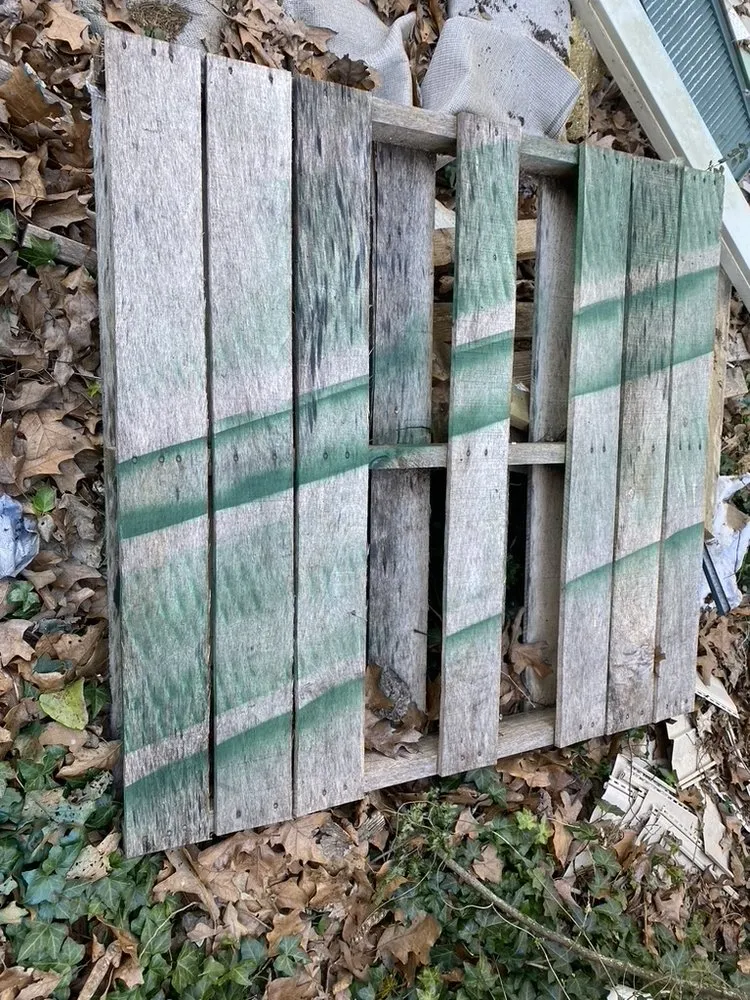 Slide of Southeastern Reconstruction