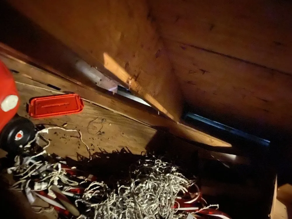 Slide of Southeastern Reconstruction