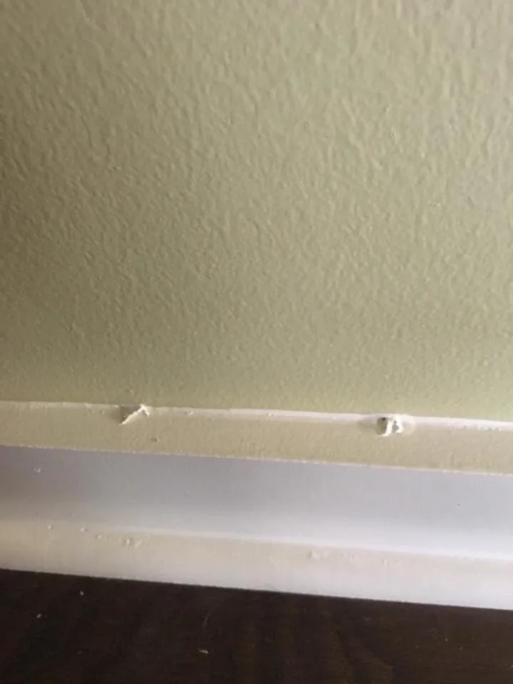 Slide of Southend Painting