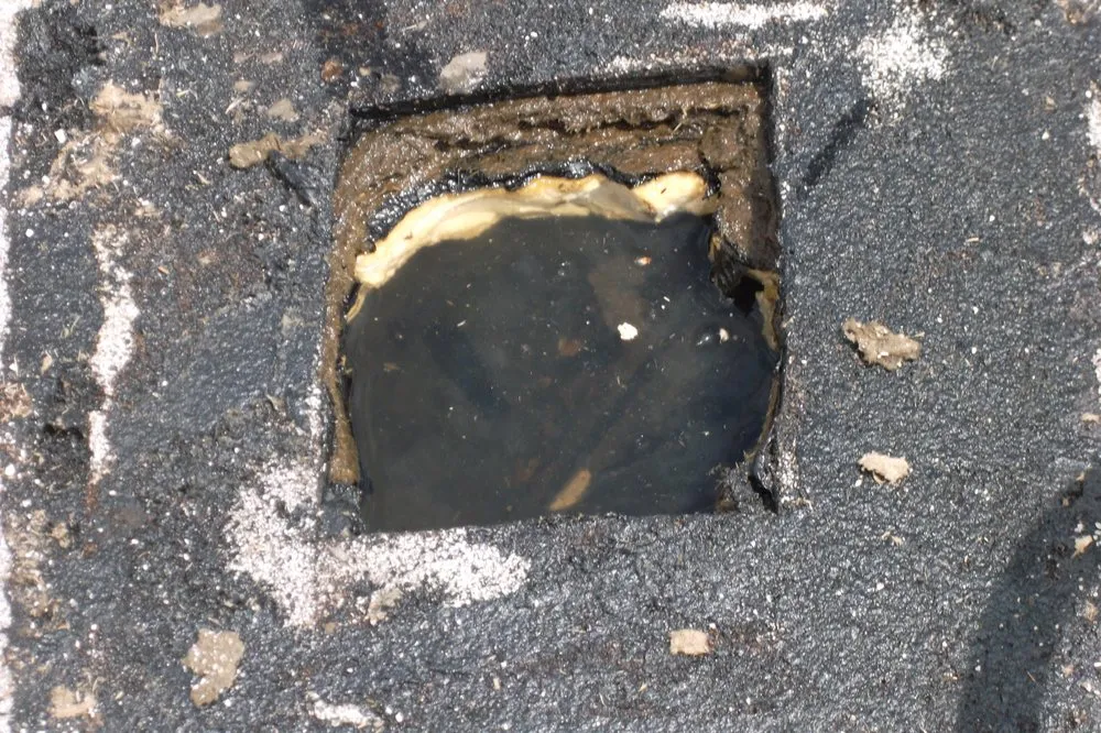 Slide of Southern Certified