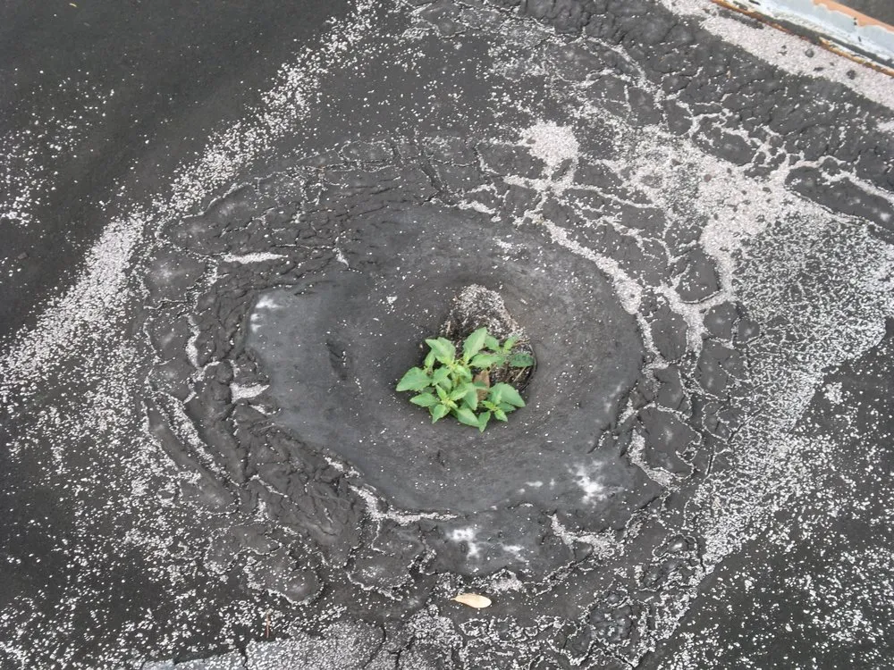 Slide of Southern Certified