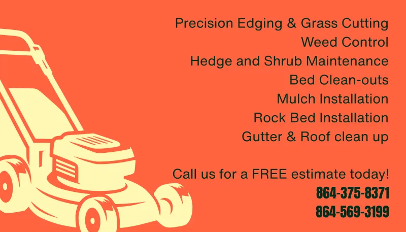 Slide of Southern Grass