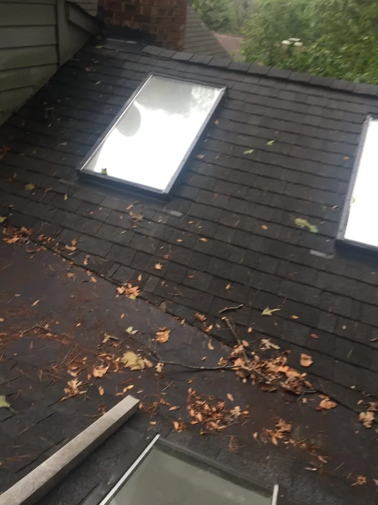 Slide of Southern Restoration