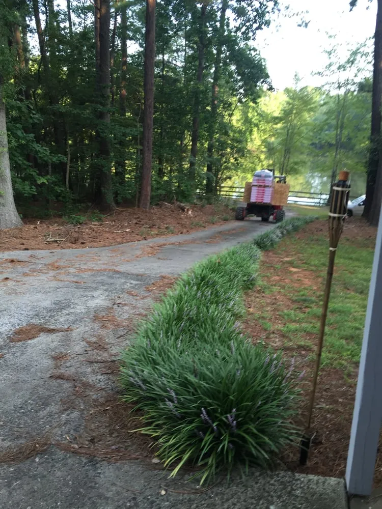 Slide of Southern Restoration