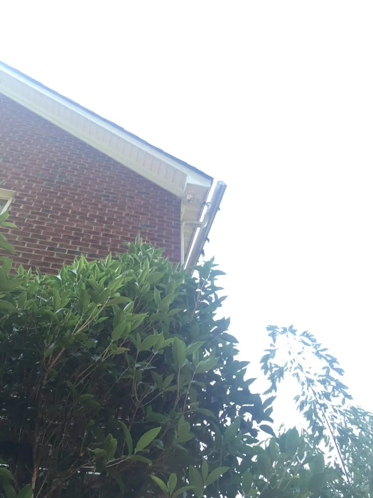 Slide of Southern Restoration