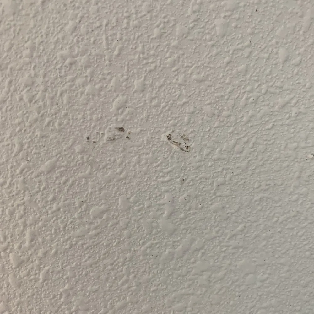 Slide of Southern Roofing & Insulating