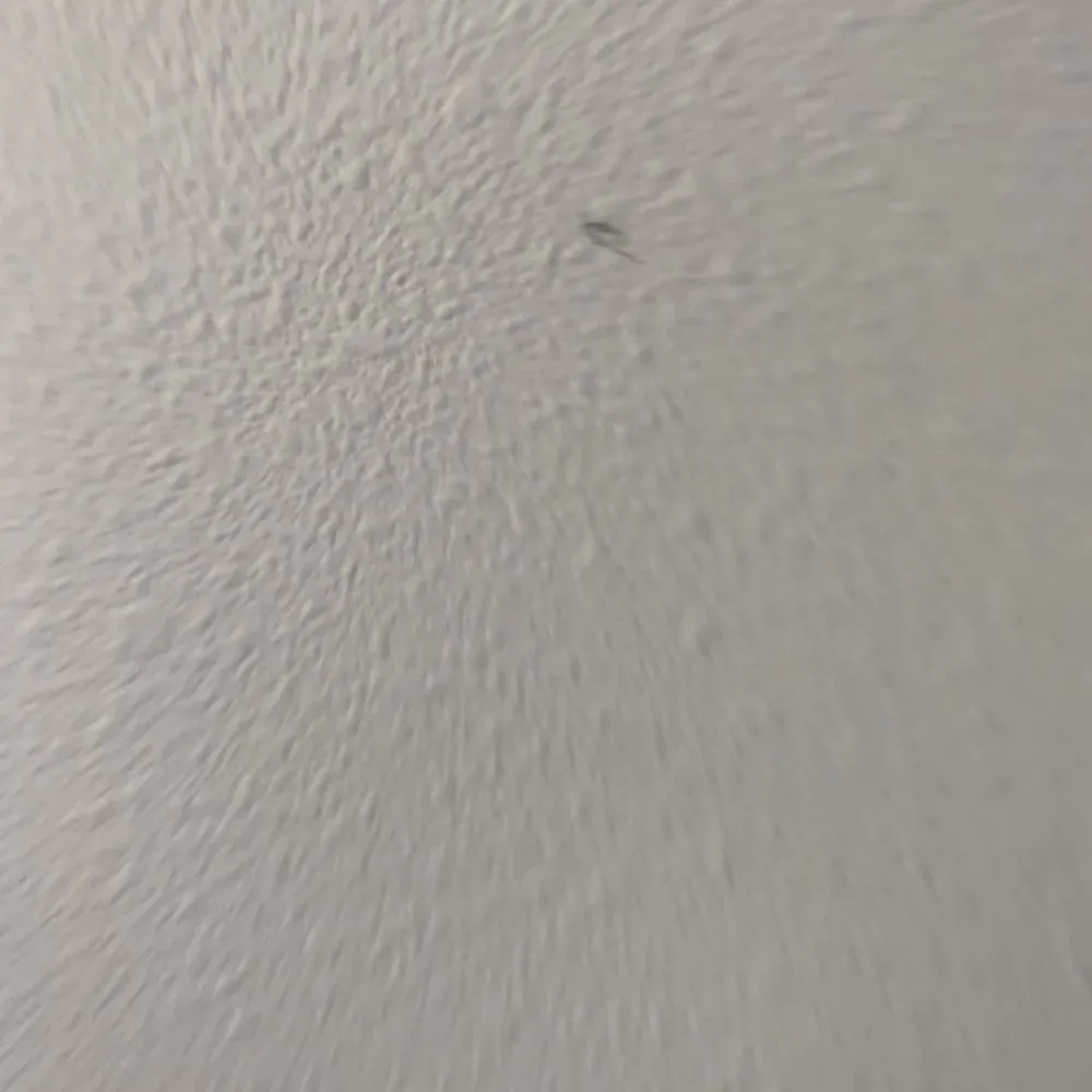 Slide of Southern Roofing & Insulating