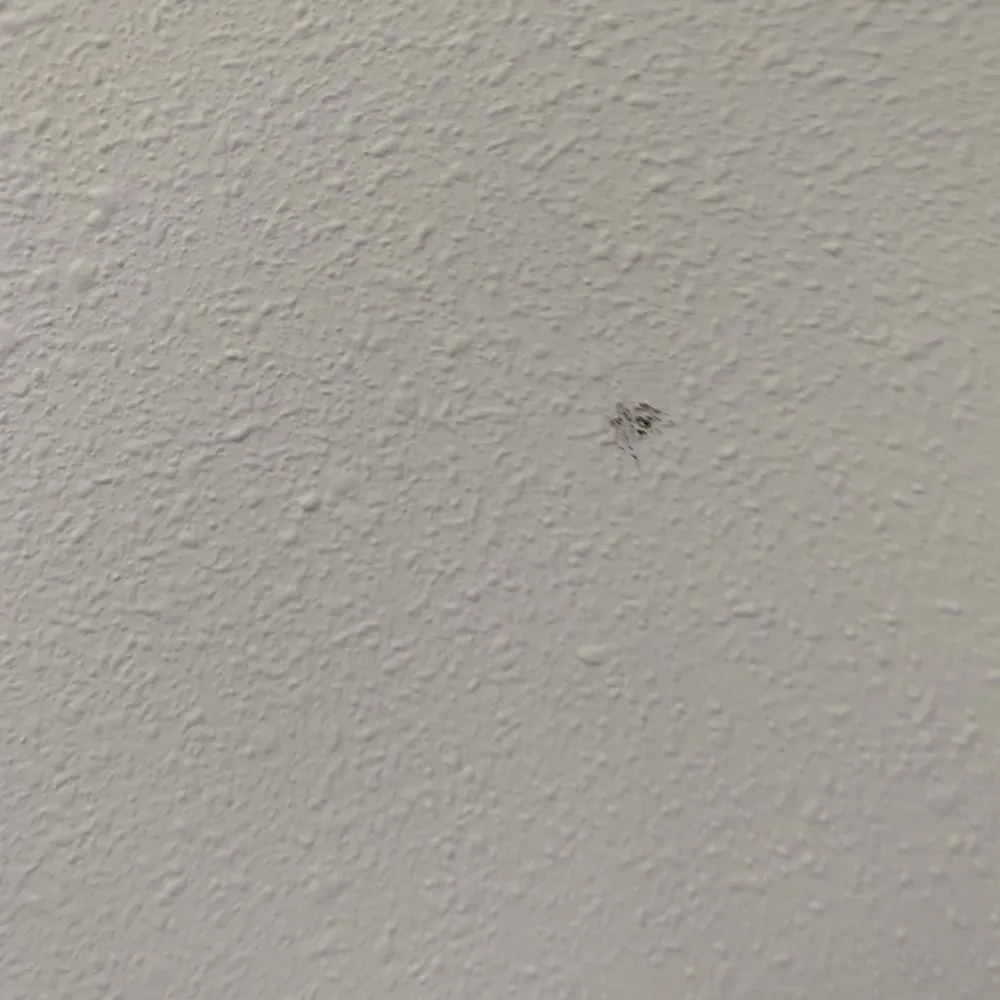 Slide of Southern Roofing & Insulating