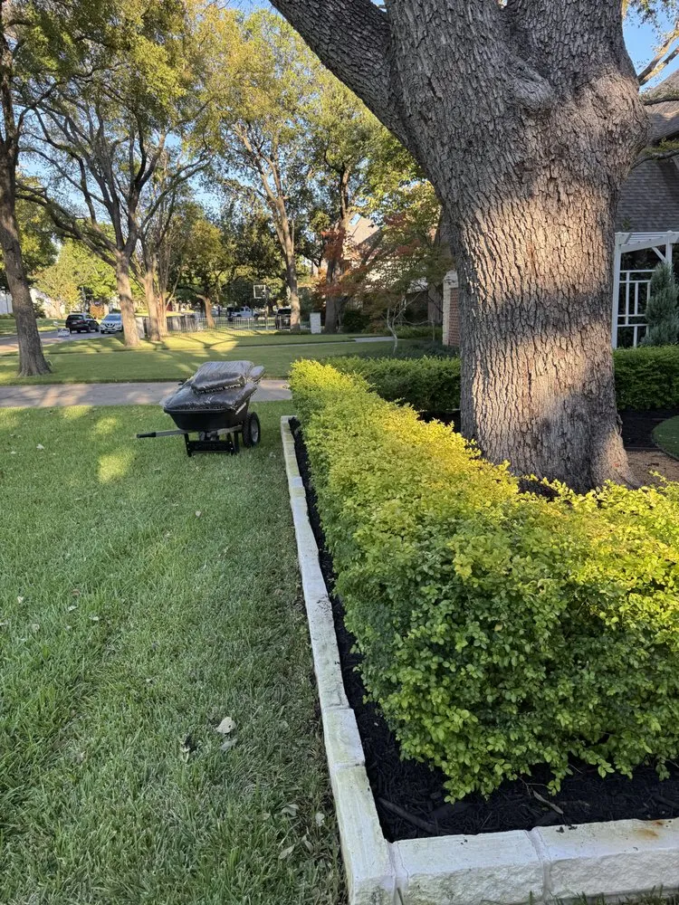 Slide of Southern Roofs and Roots