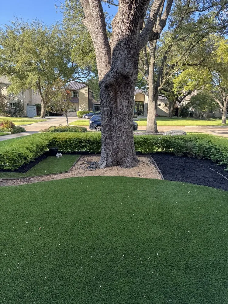 Slide of Southern Roofs and Roots