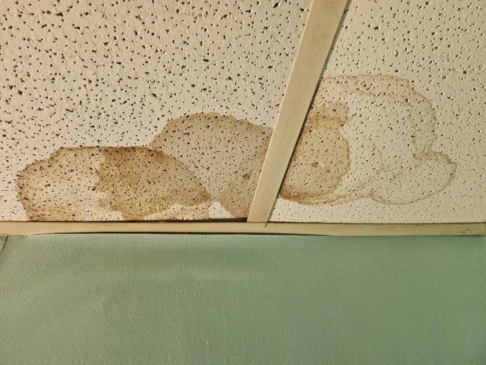 Slide of Southern Siding