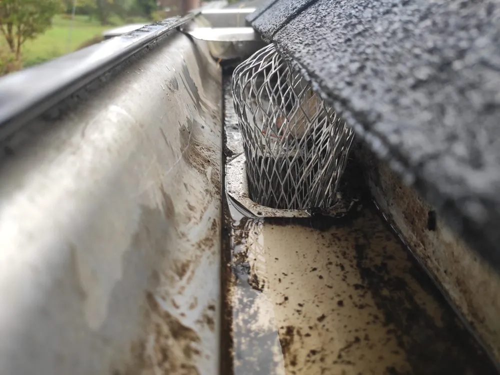 Slide of Southern Solution