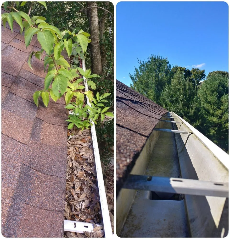 Slide of Southern Solution