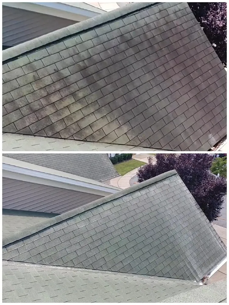 Slide of Southern Solution