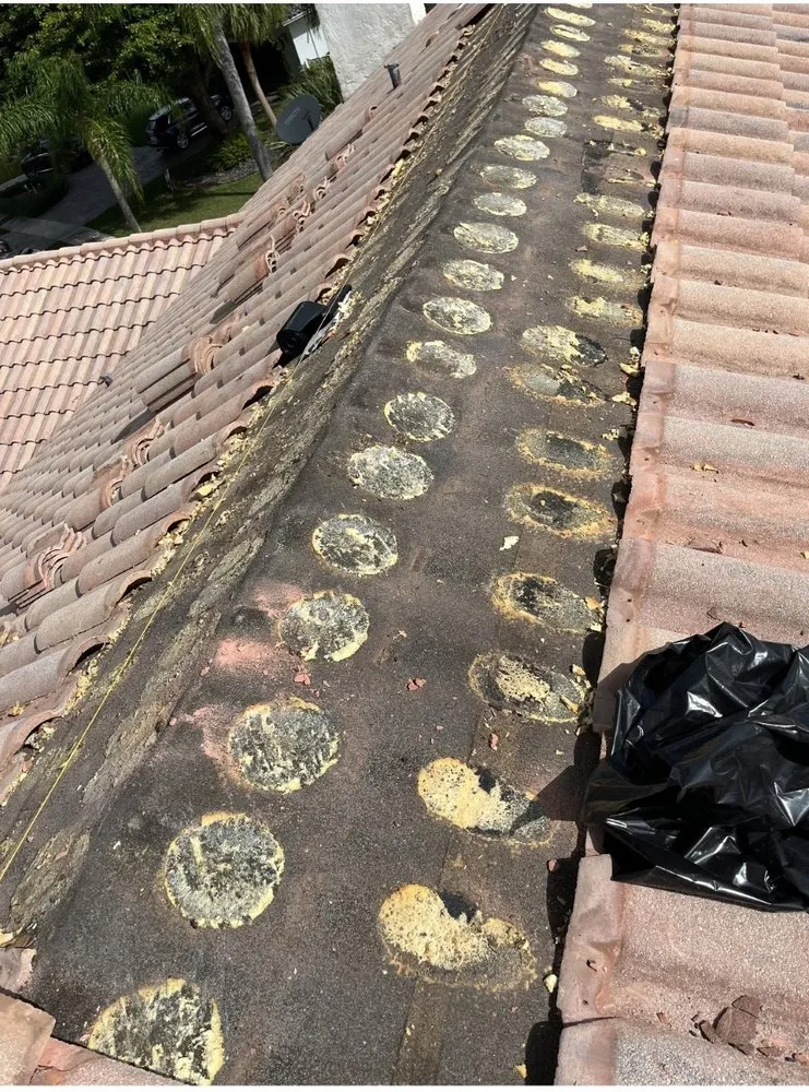 Slide of Southern State Roofing