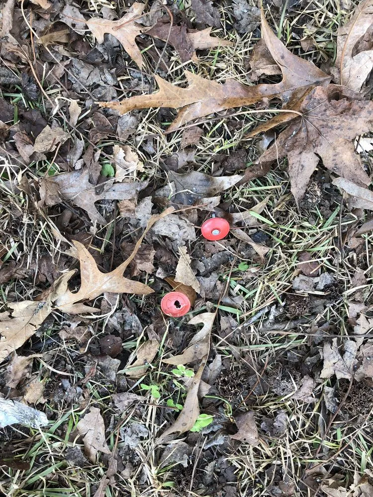 Slide of Southern Touch Painting