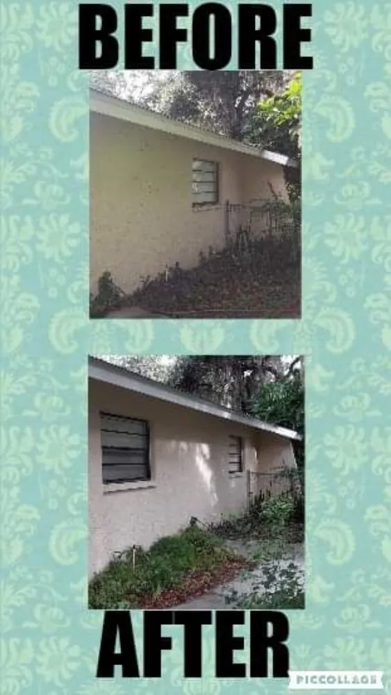 Slide of Southern Tropics Pressure Washing and Roof Cleaning