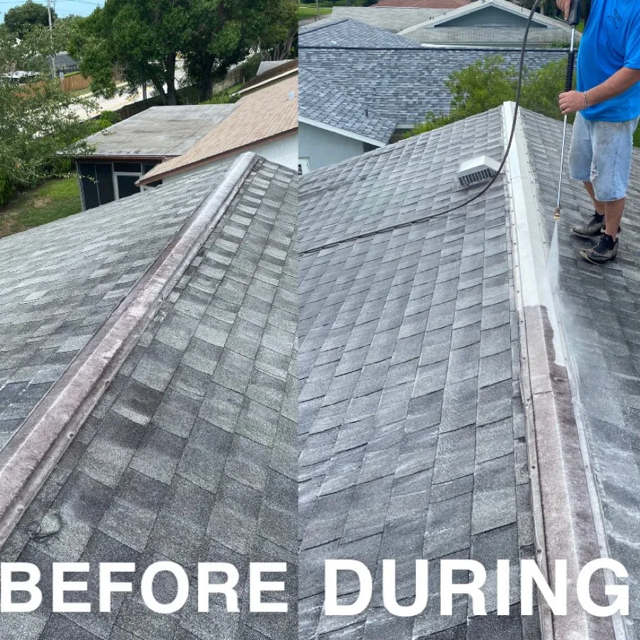 Slide of Southern Tropics Pressure Washing and Roof Cleaning