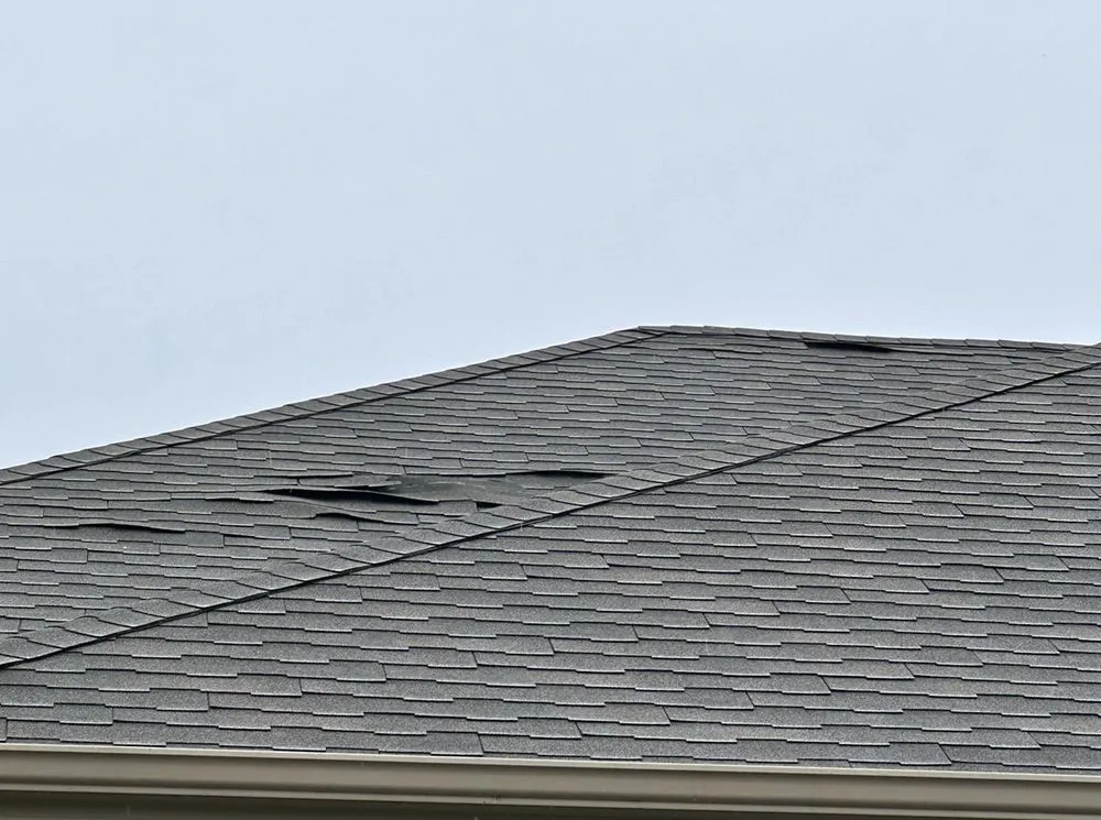 Slide of SouthPark Roofing