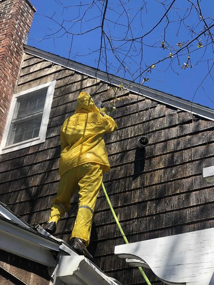 Slide of Sparkle Pressure Wash