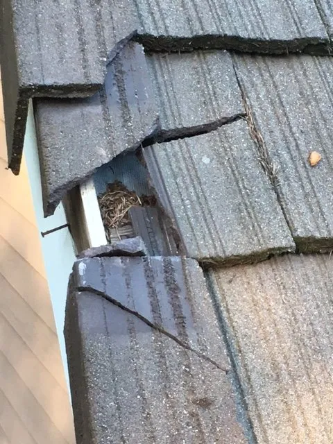 Slide of Specialized Exteriors