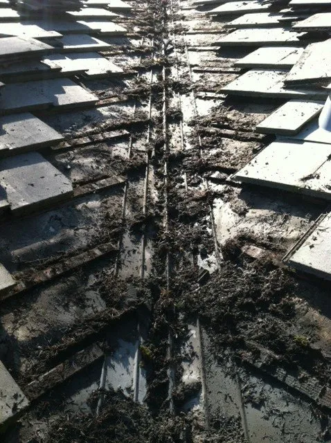 Slide of Specialized Exteriors