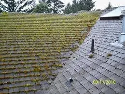 Slide of Specialized Roof Care