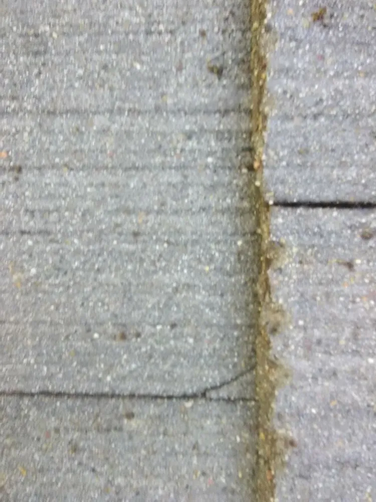 Slide of Specialized Roof Care