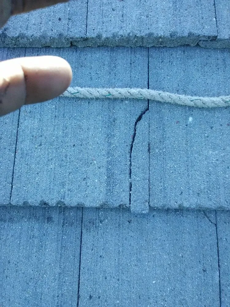 Slide of Specialized Roof Care