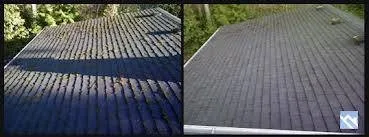 Specialized Roof Care Logo