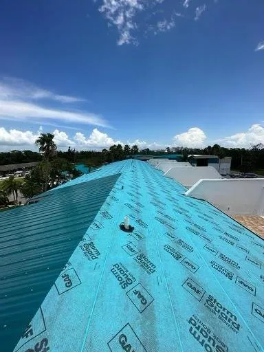 Slide of Specialized Roofing System
