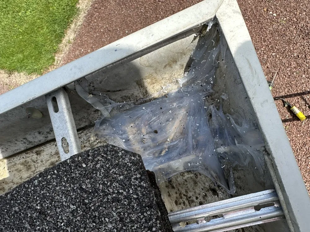 Slide of Speedy Construction Service