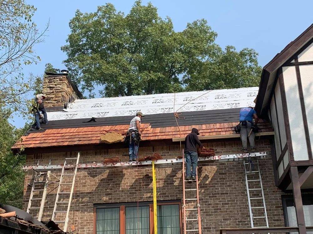 Slide of Speedy Gonzalez Roofing