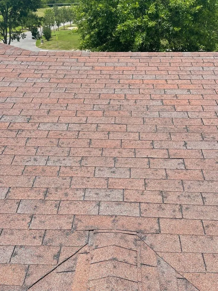 Slide of Speedy Gonzalez Roofing