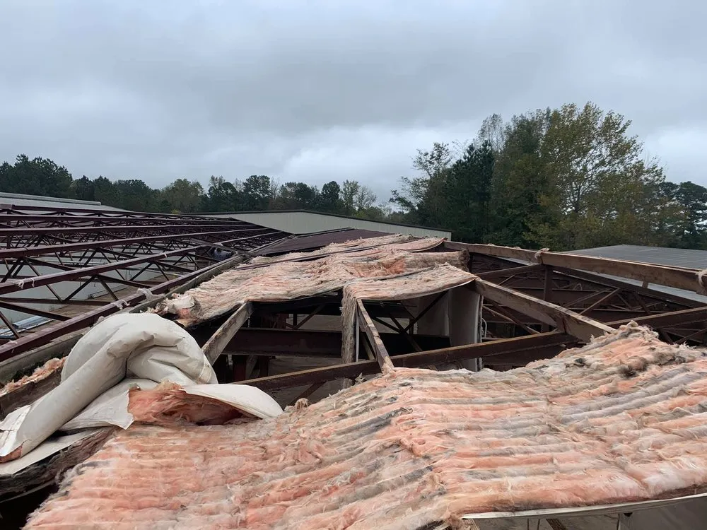 Slide of Speedy Gonzalez Roofing