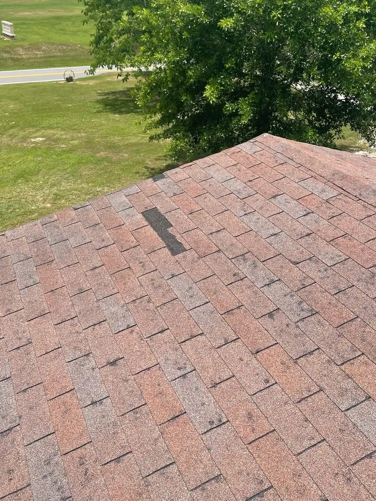 Slide of Speedy Gonzalez Roofing