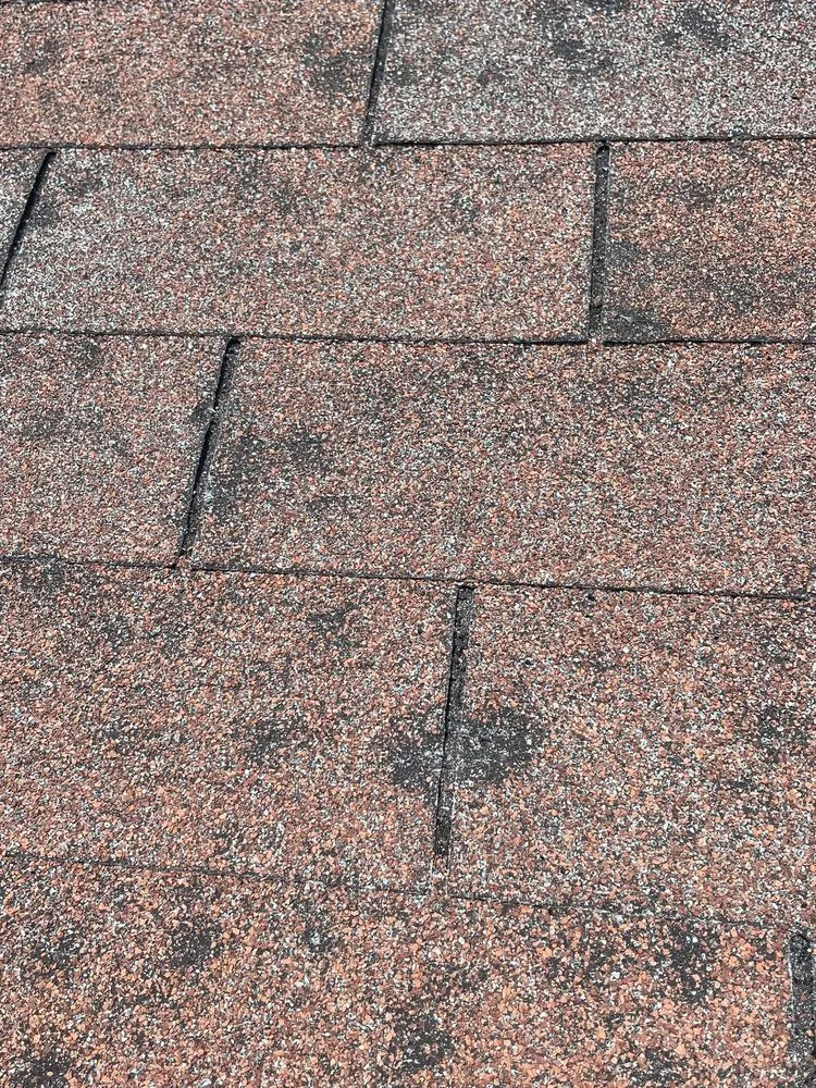 Slide of Speedy Gonzalez Roofing