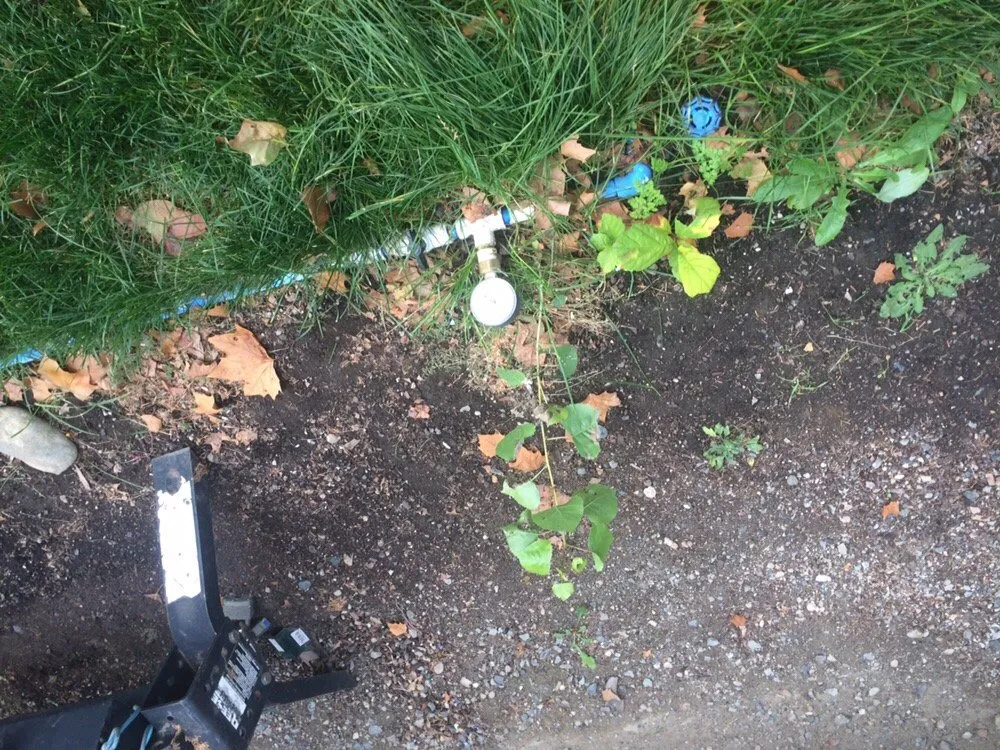 Slide of Speedy Lawn Service