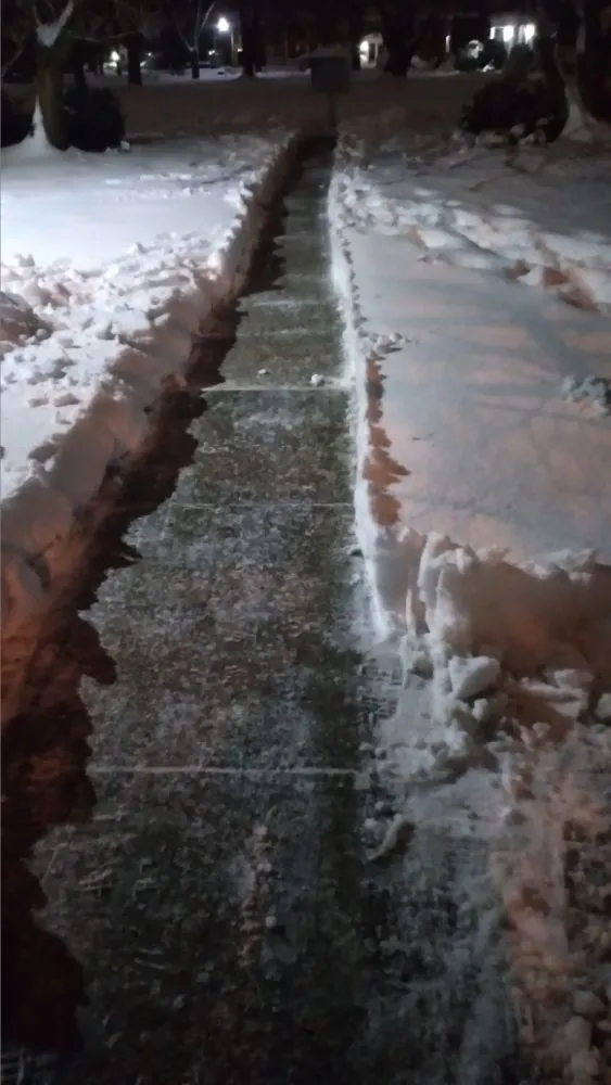 Slide of Speedy's All Around Help