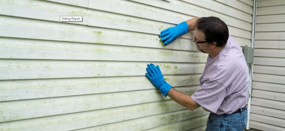 Slide of Spezialetti Construction