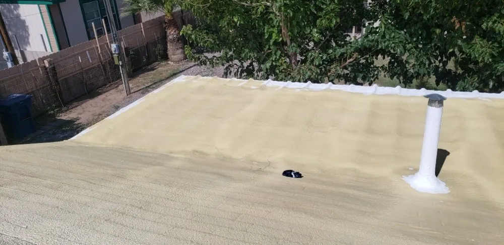 Slide of SPF Services