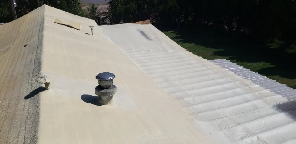 Slide of SPF Services